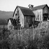 Barkaboom Barn B&W