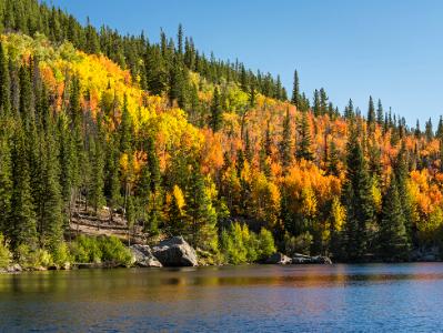 Bear Lake Aspen Hillside Panorama (Click for full width)