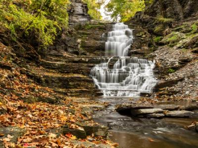 Autumn Leaves in Cascadilla Gorge