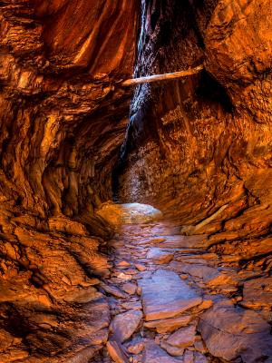 Surprise Slot Canyon