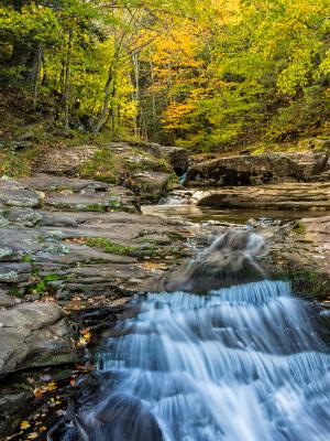 Spruce Creek Falls Autumn