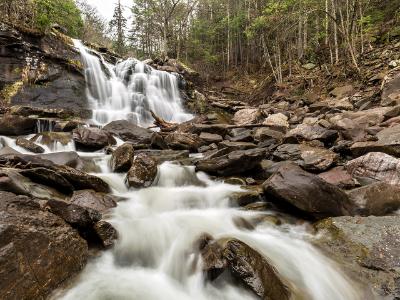 Bastion Falls in Spring