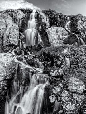 Timberline Falls Black and White