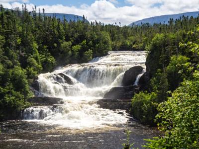 Newfoundland Forest Waterfalls