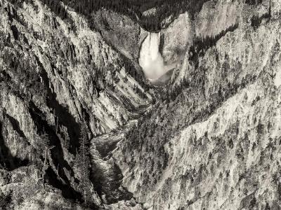 Yellowstone Lower Falls Black and White