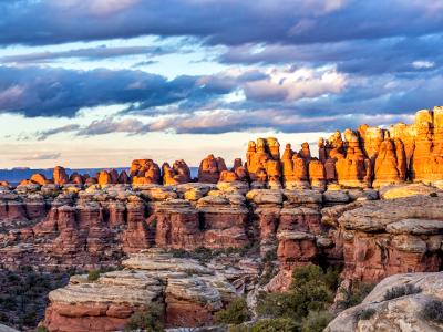 Moody Elephant Canyon Needles Sunset (Click for full width)