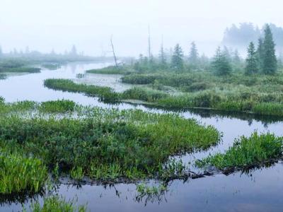 Brown's Tract Inlet  Foggy Panorama