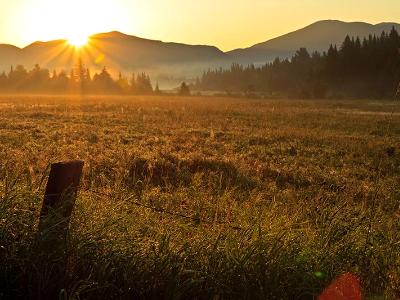 Adirondack Foggy Sunrise