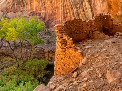 Monarch Cave Rounded Cliff Dwellings