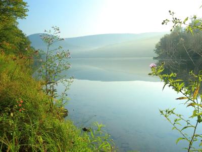 Foggy Lake Spiderweb