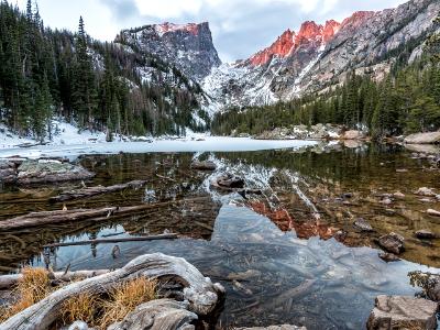 Dream Lake Shallows Driftwood