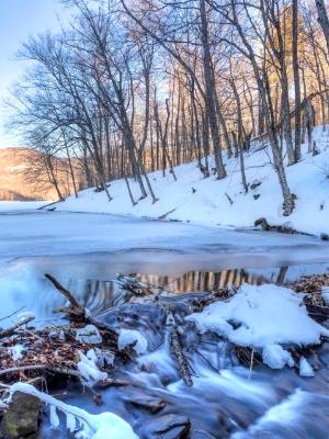 Big Pond Outlet Winter Reflections