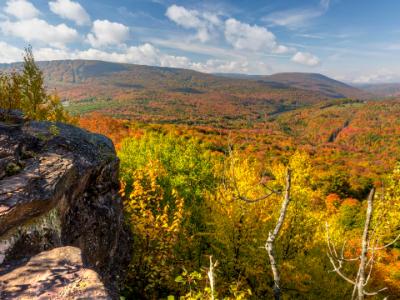 Catskills Ledge Peak Color