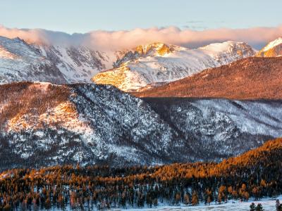 Continental Divide and Moraine Park Trees at Sunrise (Click for full width)