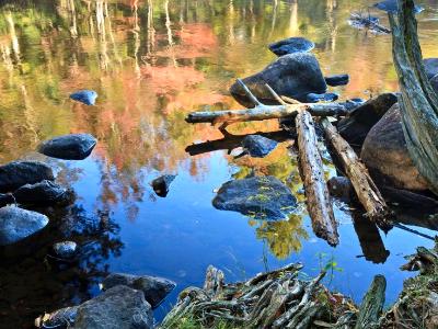 Raquette River Reflections