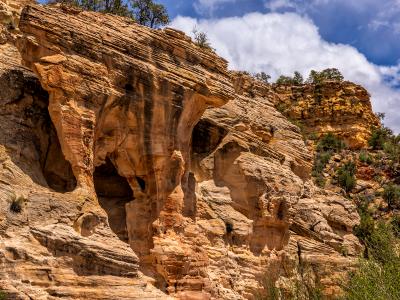 Willis Creek Cliff Cave