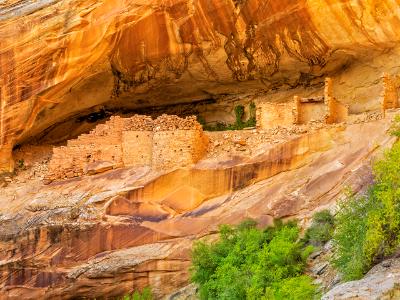 Cliffs Dwellings in Monarch Cave