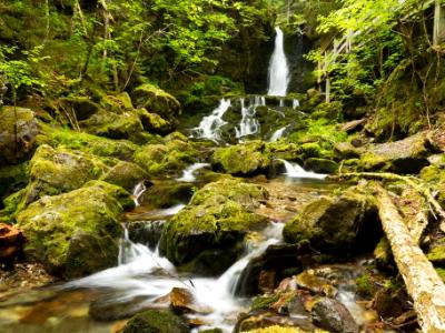 Dickson Falls