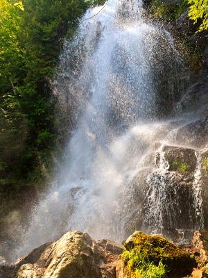 Sunlight Through Beaver Meadow Falls