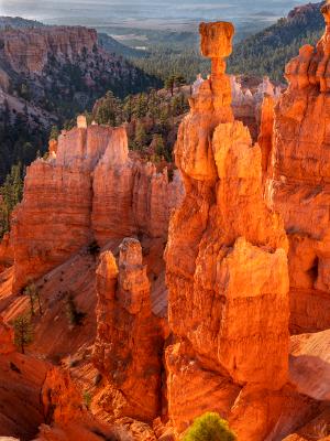 Thor's Hammer Morning Magical Light