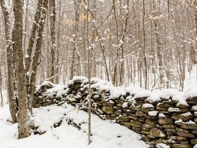 Catskills Stone Wall