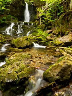 Dickson Falls Vertical