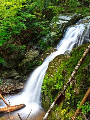 Silky Adirondack Cascade