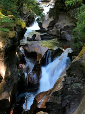 Avalanche Creek Falls