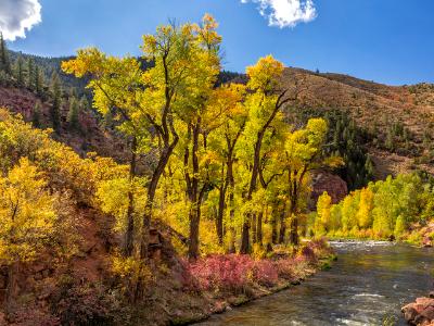 Cottonwood Corner on the Fryingpan