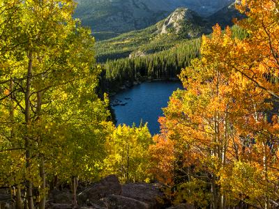 Yellow and Orange Aspens Above Bear Lake