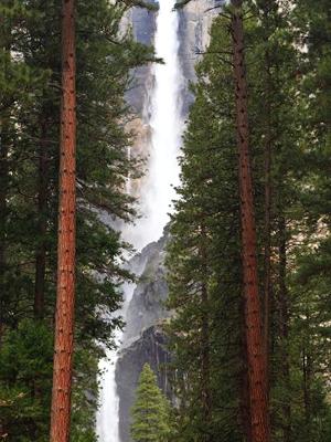 Yosemite Falls Forest View Panorama