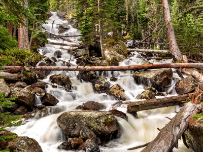 Calypso Cascades in Spring Flood