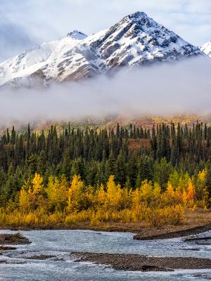 Many Layers of Denali Autumn