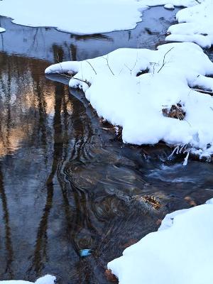 Big Pond Winter Stream