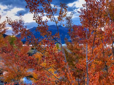 Red Aspen Twilight on Twin Lakes (Click for full width)