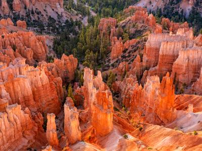 Magic Morning Hoodoo Glow from Inspiration Point