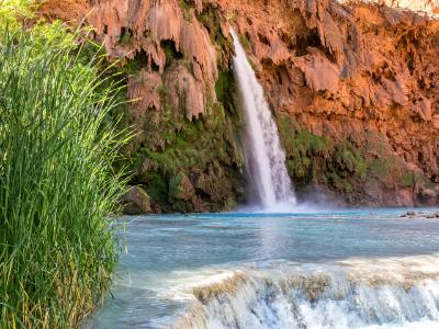 Havasu Falls Pool and Tall Grass