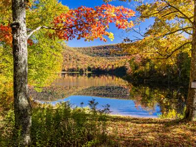 Sugar Maples on Colorful Catskills Lake