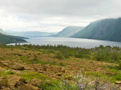 Trout River Pond Panorama