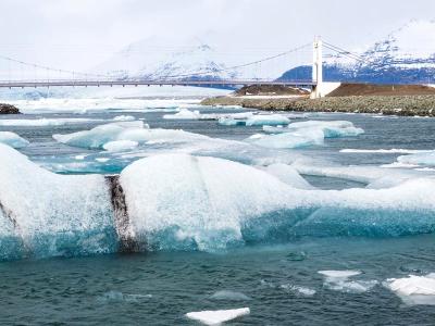 Ice Muppet in Jokulsarlon Inlet