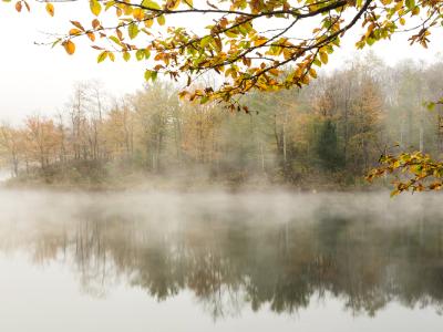 Dense Autumn Fog on Big Pond