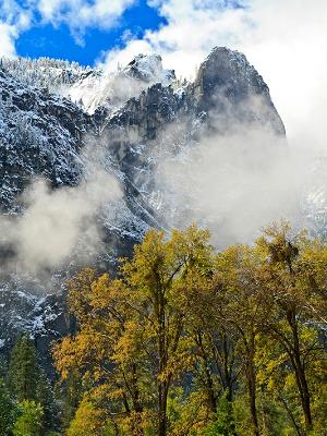 Black Oaks and Cathedral Rocks