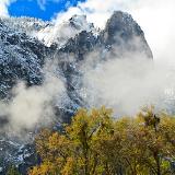 Black Oaks and Cathedral Rocks