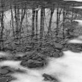 Esopus Creek Thaw B&W