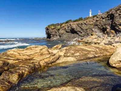 Lobster Cove Tidal Pools