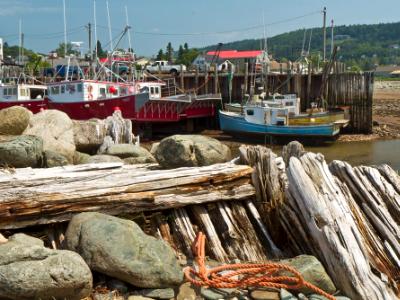 Alma Harbour, Low Tide