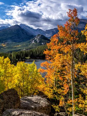 Longs Peak Clouds and Bear Lake Aspens