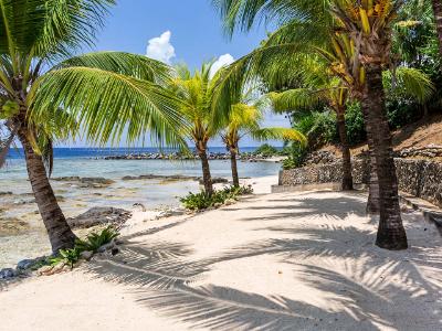 Palm Shadows on Roatan Beach