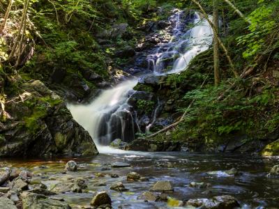 Silky Macintosh Brook