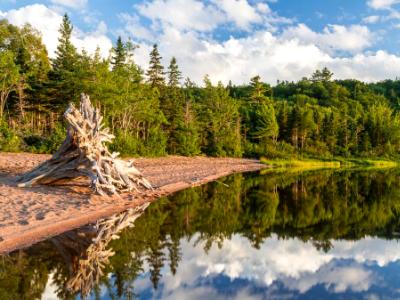 Warren Lake Beach Reflections